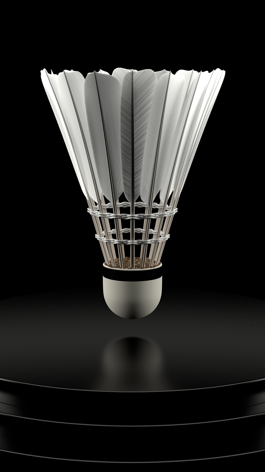 引起了广泛 引起了广泛