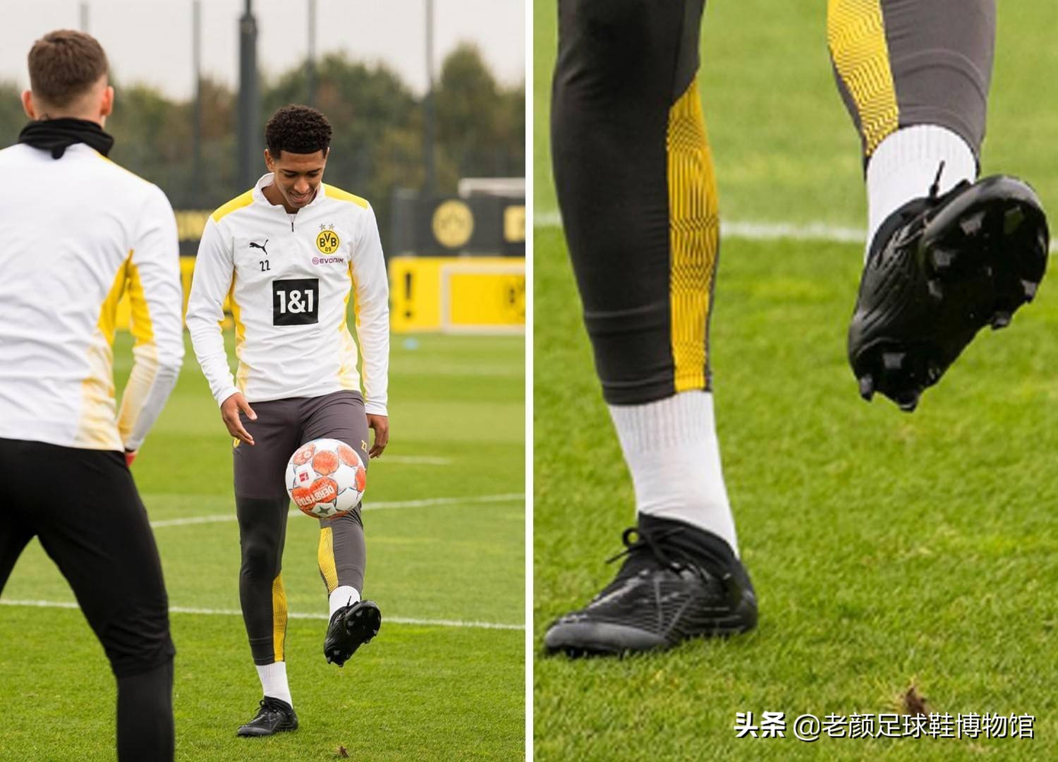 金昭映与徐 金昭映与徐