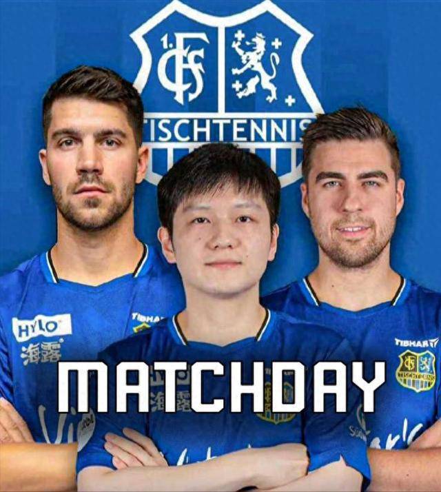 体系稳定性 体系稳定性